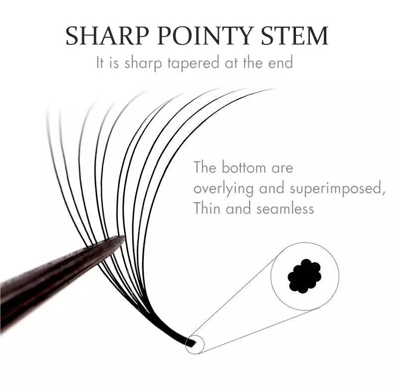5D - 1000 Fans C Curl - 0.07mm Pre-handmade Volume Fan Eyelash Extensions Supply