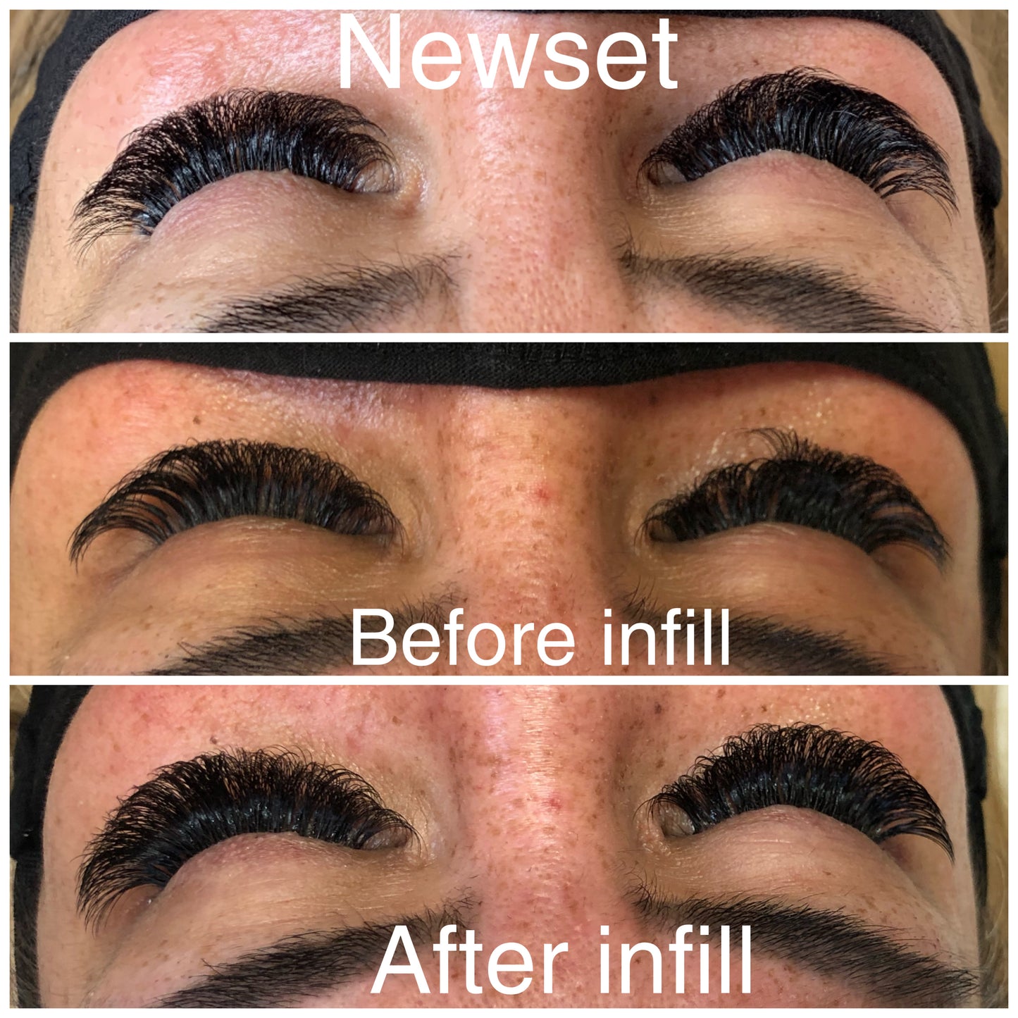 BUNDLE: 6 Classic Lashes trays D Curl / Eyelash Extensions Supply
