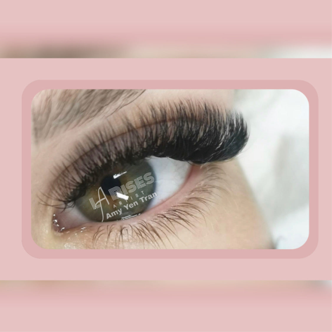 BUNDLE: 6 Classic Lashes trays C Curl/ Eyelash Extensions Supply