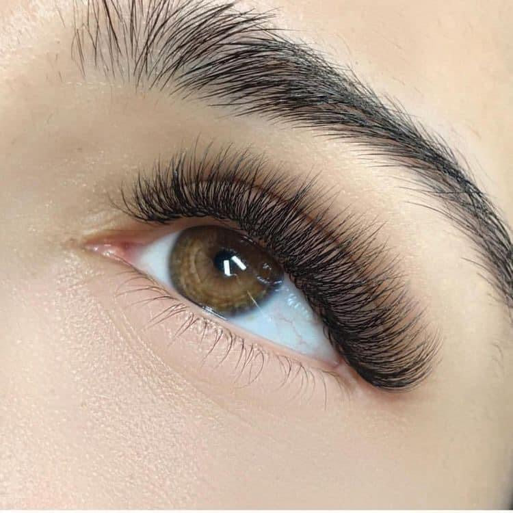 BUNDLE: 10 La Bises Fast Eyelash Extensions Glue