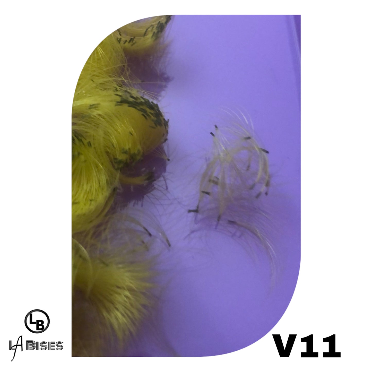 6D premade fan - mixed colors Eyelash Extensions Supply