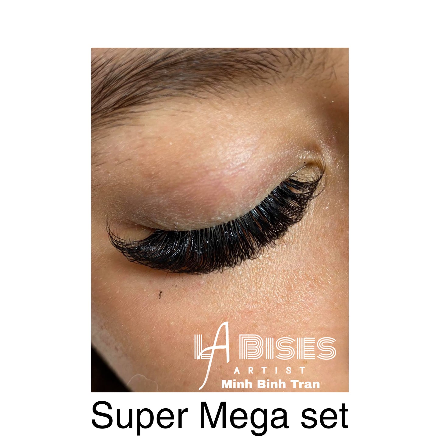 BUNDLE: 6 Classic Lashes trays C Curl/ Eyelash Extensions Supply