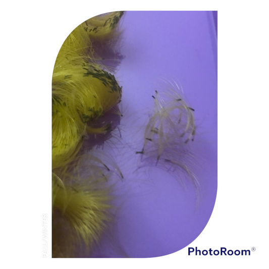 Yellow lashes - 6D premade 300 fans- Eyelash Extensions