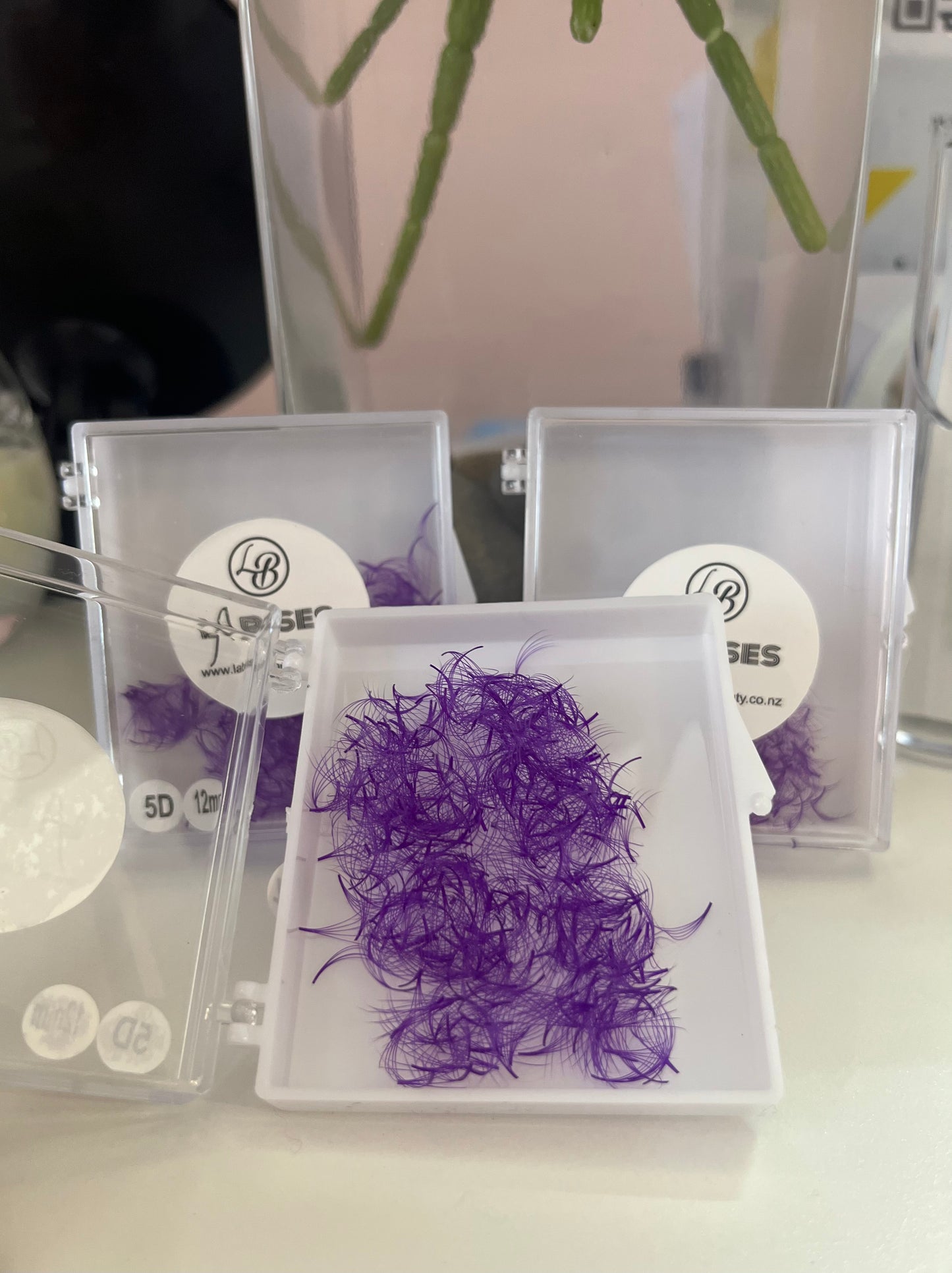 Purple lashed - 5D premade 500 fans eyelash extensions
